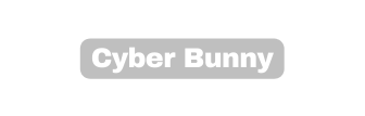 Cyber Bunny